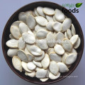 Wholesale Edible Pumpkinseeds In Shell, Large Size